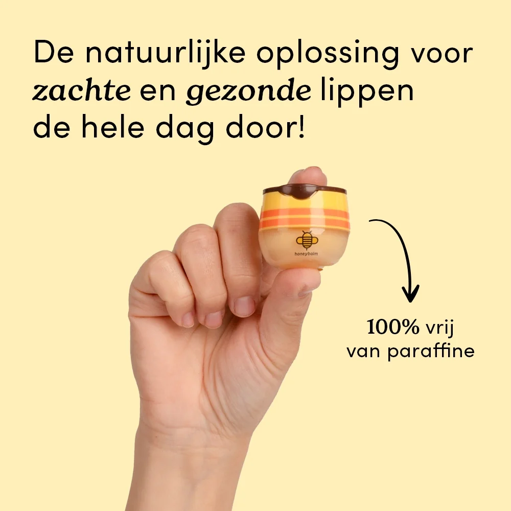 Miniatuur 2