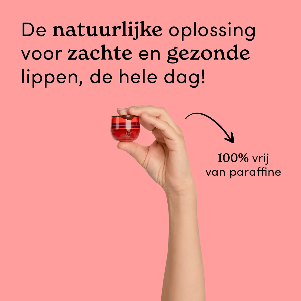 Miniatuur 2